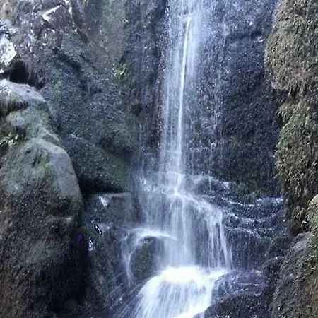 Casa Lausus לאוסה